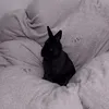 kitsunechangram