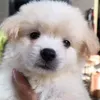 seojooooooo