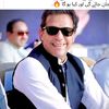 altaf__hassan0786