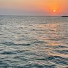 saad_16788