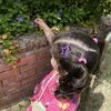 aseel.ii11