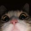 aymnmno