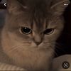 foodplz12