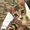 reshma_magar00