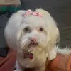 danielagabrielapo27