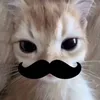 demiescircus
