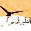 user757193470275154