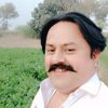 sardarshahbazdoga4
