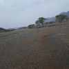 mahmmed.alahmadi
