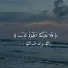 halaalqisi00