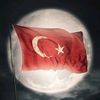 alimalim4286