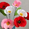 muhmad.xoshnaw1