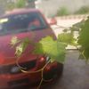 ezo_022