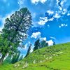 Kashmir Culture