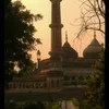areebaa1613