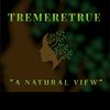 thespiritualherbalist1