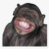 brandon_alt_