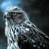 j_falcon25