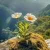 nho_sieu_nhan