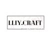 lliy.craft1_2