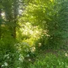 bethandunlop