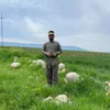 bashdar.bngrde0
