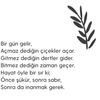 by.ozer.60
