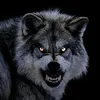 basitdark7