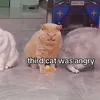 cant_it_be_love1