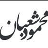 mahmoudshaaban.66
