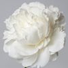 small.flower