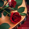 muhamad_833