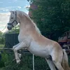tamara.k71