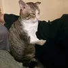 whatzthat0