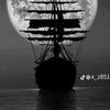 nasser774537156