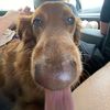baxterb