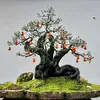 Vương Lâm Bonsai Art