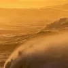 idtiktok819