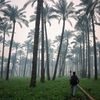 mohamedhusseinmoh12