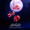 li77ly5