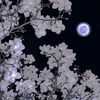 unknown0.0.2_