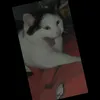 stripitezer0002