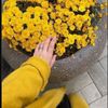 نجلاء الغامدي💛 الطايف
