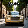 faisalalishaikhsahab333