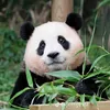 thaonguyenttb