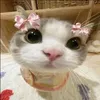 mimoranh