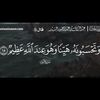 waelbenfarhat83