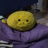 user596807020205013