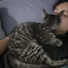 .__.mehhhhh