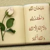 shaemaramadan
